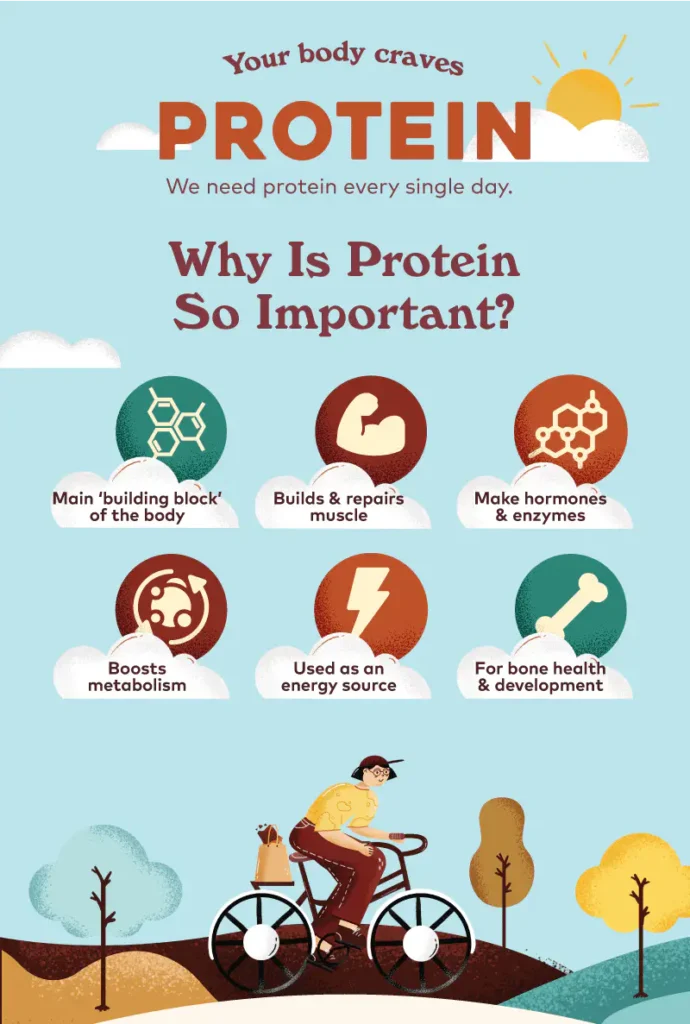 this shows why protein is essential